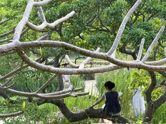-广西壮族自治区药用植物园
