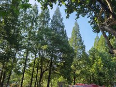 -中南·世纪雅苑