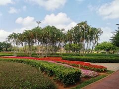 -万绿园