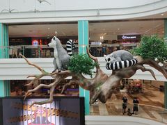 -大族广场Mall&More