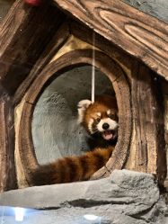 -Zoolung Zoolung动物主题公园(海信广场店)