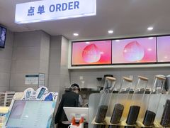 -雾与山茶(大禹城店)