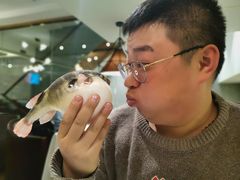 -肆月河豚·新淮扬(金融街店)