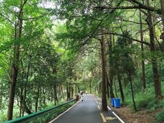 -金堂县云顶石城风景区