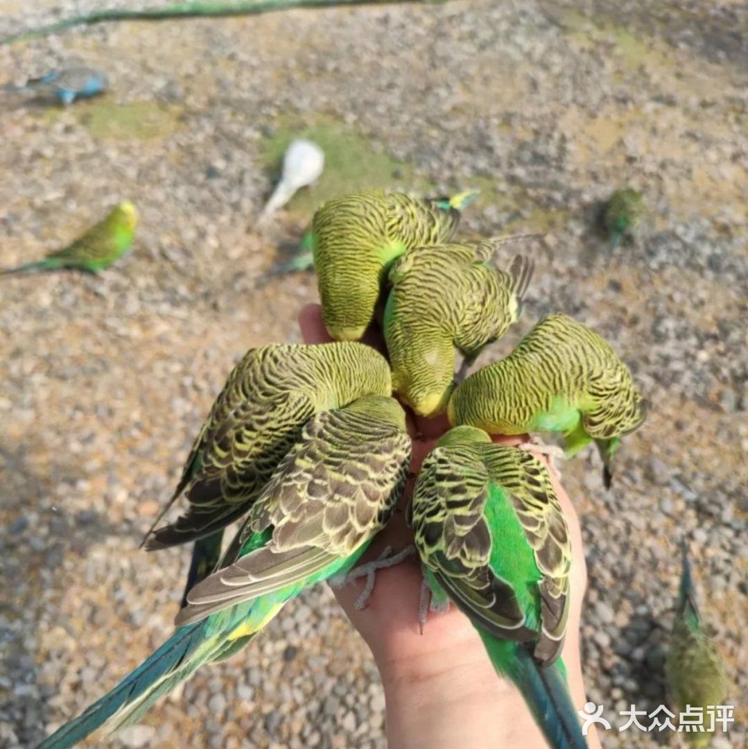 帝都遛娃必打卡🙉🙉亲子动物乐园