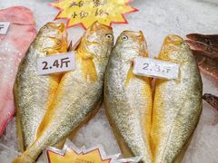 -郑庄脂渣海鲜楼(九水路店)