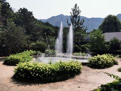 -燕塞湖鸟语林景区
