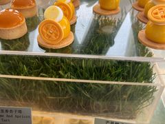 -万豪咖啡厅(JW万豪酒店店)