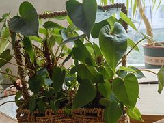 -沐春秋茶书院·茶室.茶馆.商务包房(知春路店)