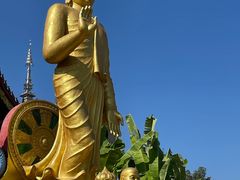 -西双版纳总佛寺