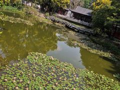 -深圳国际园林花卉博览园