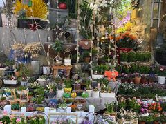 -循礼门鲜花花市(武汉循礼门店)