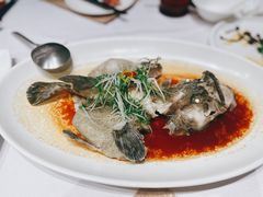 蒜香古法蒸老虎斑-北京厨房(SKP店)