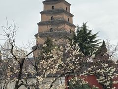 -大慈恩寺(大雁塔)