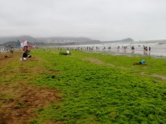 -浩运·海鲜青岛菜·海胆水饺(石老人店)