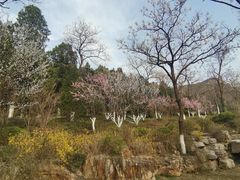 -佛慧山