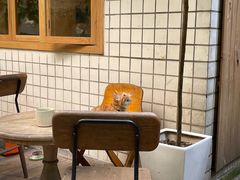 -懒鱼时光馆(沙坪坝店)