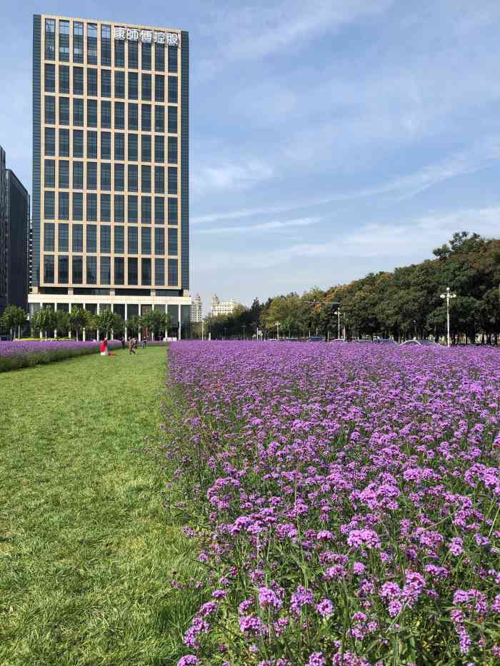 泰达城市公园-"鼠年的所有不如意,都是牛年的一切最美好的.