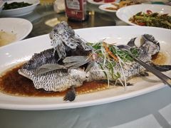 -骏莱海鲜鱼港(五角场店)
