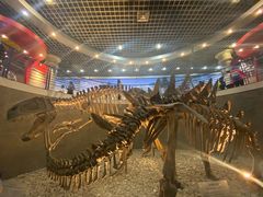 -国家自然博物馆