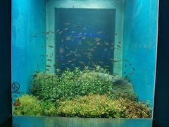 -石家庄海洋公园