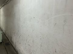-长春观