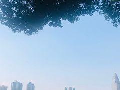 -西北湖绿化广场