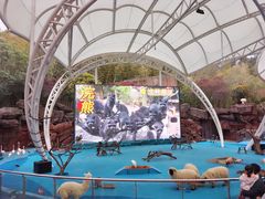 -宁波野生动物园