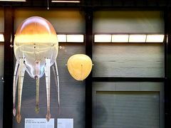 -泰特现代艺术馆