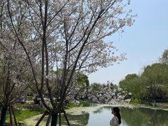 -堤角公园