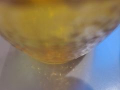 -渝是乎酸菜鱼·川渝小炒(新世界百货望京店)