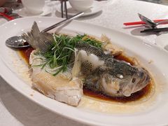 清蒸鲈鱼-红棉中餐厅·广州海航威斯汀酒店