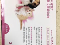 -艾贝尔宠物诊疗