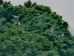 -海珠湖公园