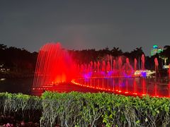 -南宁南湖公园