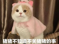 -钱记三鲜冰粉