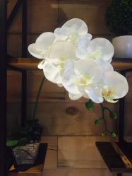 点击看大图 -花隐瑜伽·普拉提·红绳