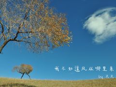 -塞罕坝国家级自然保护区