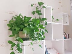 -必胜客(中北店)