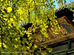 -大觉寺-停车场