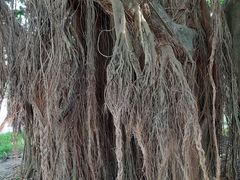 -北海市海滨公园