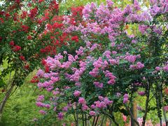 -杭州城北体育公园