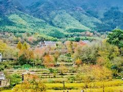 -塔川景区