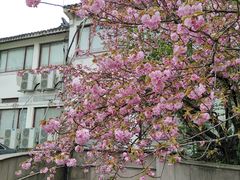 -苏州古运河游船(新市桥码头)