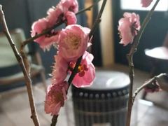 -小巨场咖啡