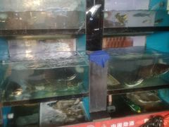 水产区-全乐鱼馆·淳牌有机鱼直营店