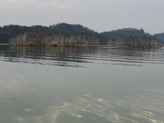 -东湖落雁景区