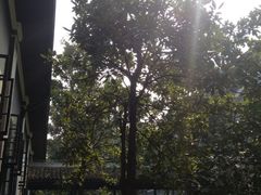 iphone_upload_pic-湖南省立第一师范学校旧址