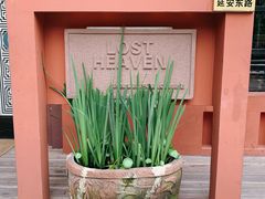 -花马天堂云南餐厅 Lost Heaven(外滩店)