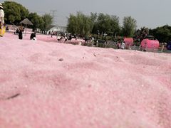-上海杨姆庄园